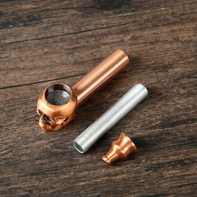 Durable Portable Gothic Retro Metal Detachable Skull Shape Tobacco Pipe With 2 Booklets Pipe Screen for Smoking